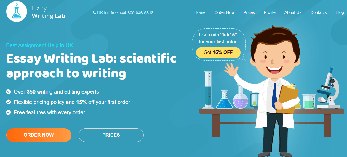 essaywritinglab.co.uk