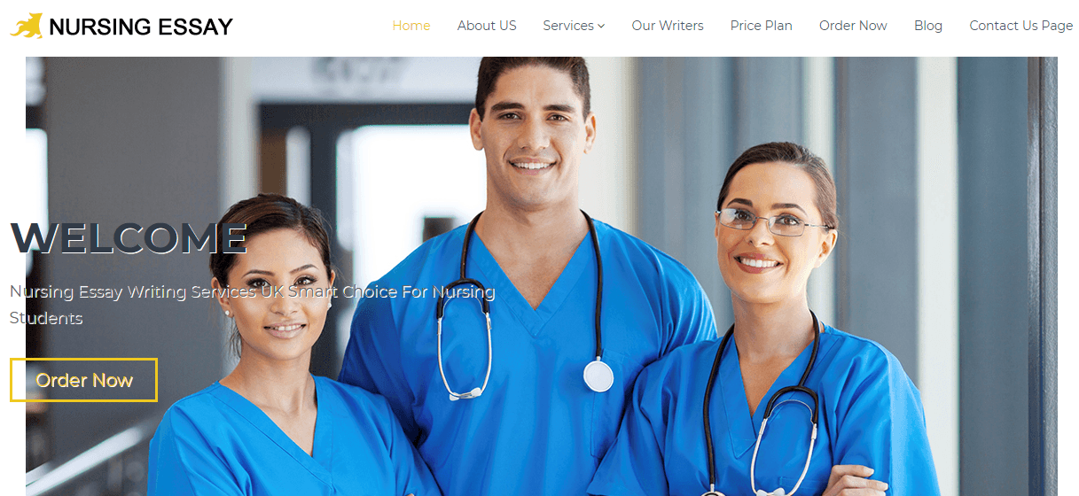 nursingessay.co.uk