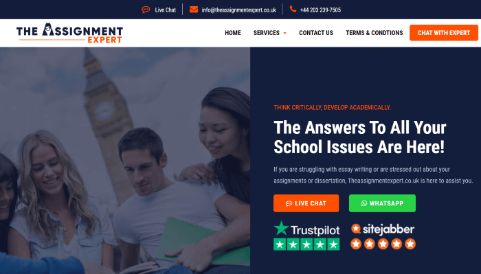 theassignmentexpert.co.uk