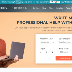 domywriting.com