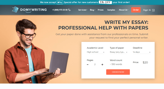 domywriting.com