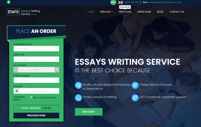 essayswritingservice.co.uk