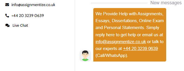 assignmentize.co.uk customer support